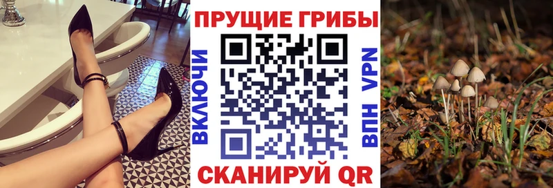 Галлюциногенные грибы ЛСД  наркошоп  Усть-Кут 